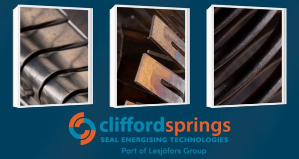 Clifford Springs banner